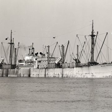 The Belgian Freighter on the Scheldt